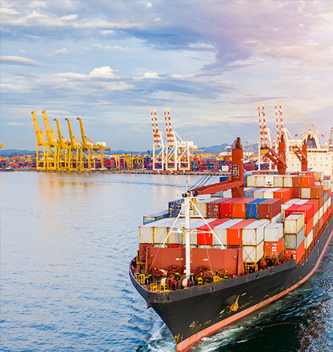 Cold Chain Logistics